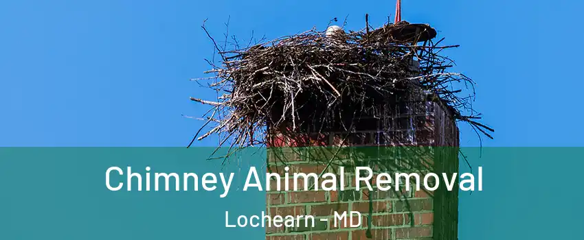  Chimney Animal Removal Lochearn - MD