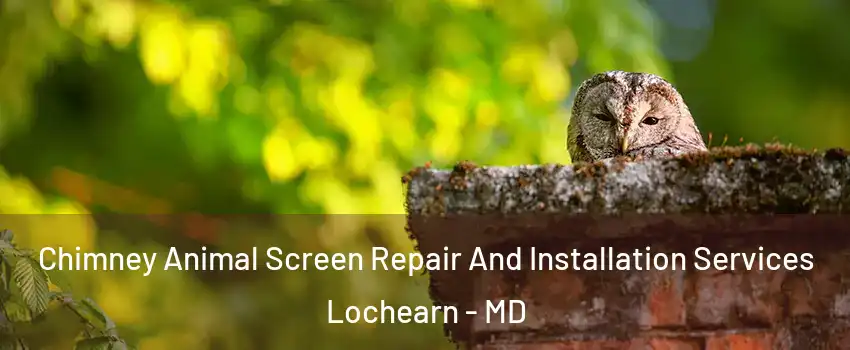  Chimney Animal Screen Repair And Installation Services Lochearn - MD