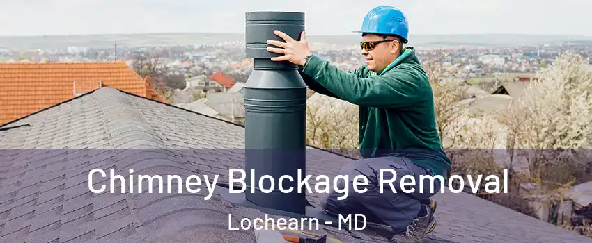  Chimney Blockage Removal Lochearn - MD
