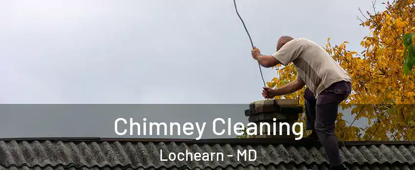  Chimney Cleaning Lochearn - MD