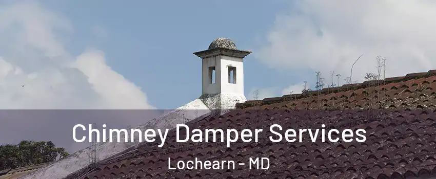  Chimney Damper Services Lochearn - MD