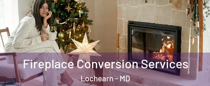  Fireplace Conversion Services Lochearn - MD