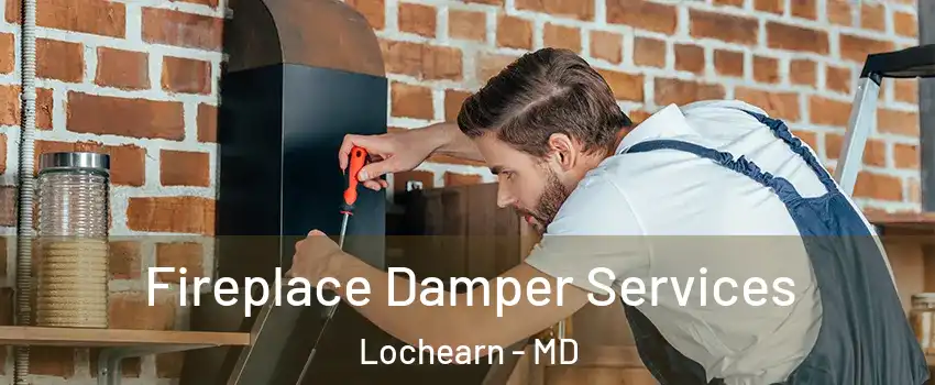  Fireplace Damper Services Lochearn - MD