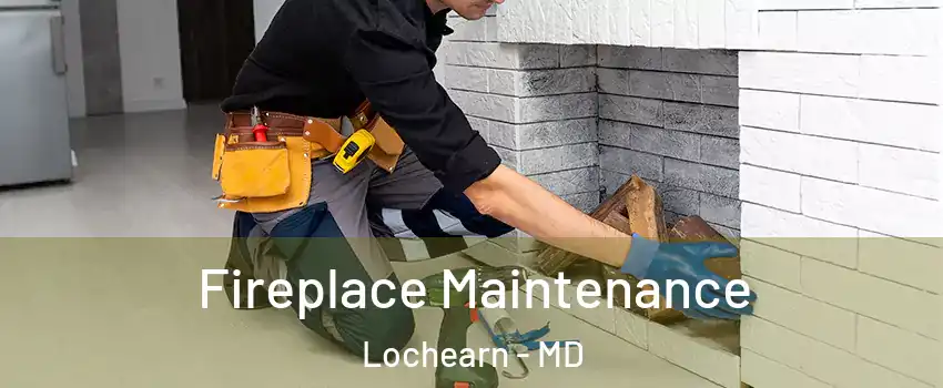  Fireplace Maintenance Lochearn - MD
