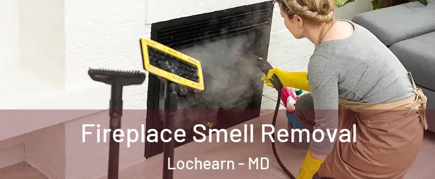  Fireplace Smell Removal Lochearn - MD