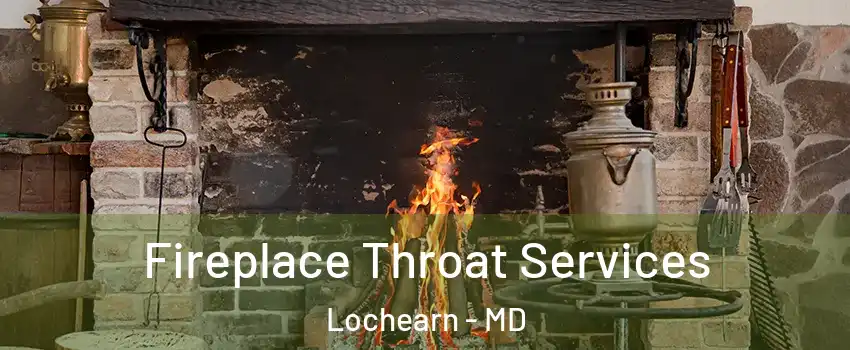  Fireplace Throat Services Lochearn - MD