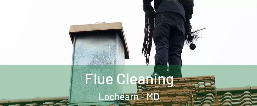  Flue Cleaning Lochearn - MD