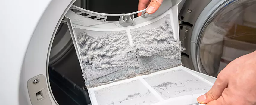 Best Dryer Lint Removal Company in Lochearn, Maryland