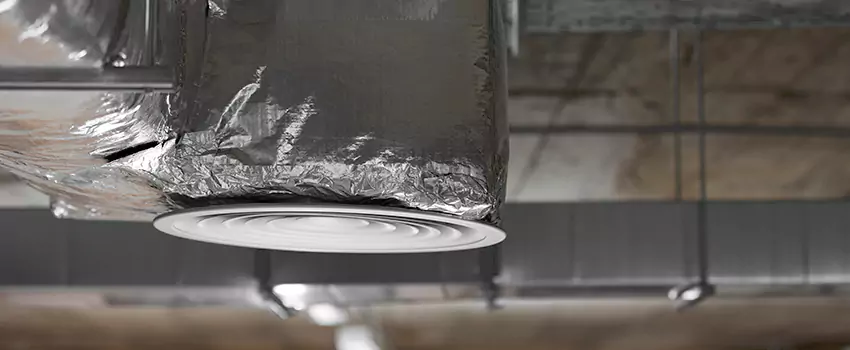 Signs of Dust Accumulation in Vents in Lochearn, MD