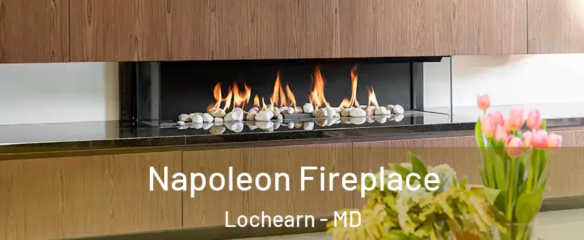  Napoleon Fireplace Lochearn - MD