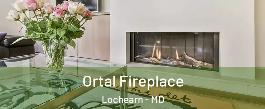  Ortal Fireplace Lochearn - MD
